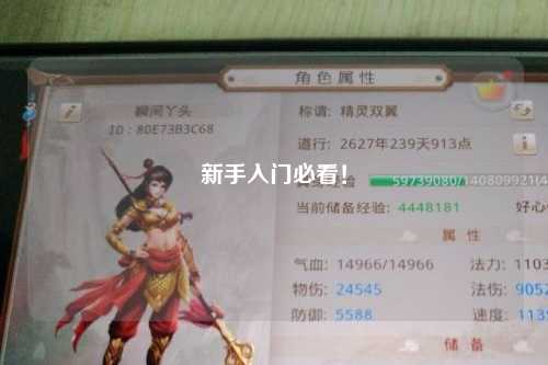 新手入門必看！