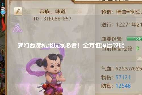 夢幻西游私服玩家必看！全方位深度攻略