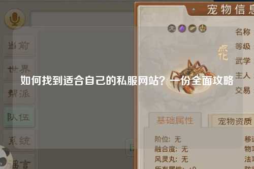 如何找到適合自己的私服網(wǎng)站？一份全面攻略
