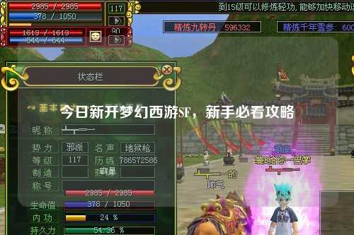 今日新開夢幻西游SF，新手必看攻略