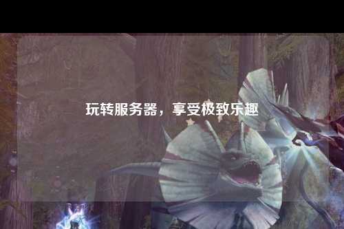 玩轉(zhuǎn)服務(wù)器，享受極致樂趣