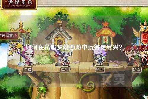 如何在私服夢(mèng)幻西游中玩得更盡興？