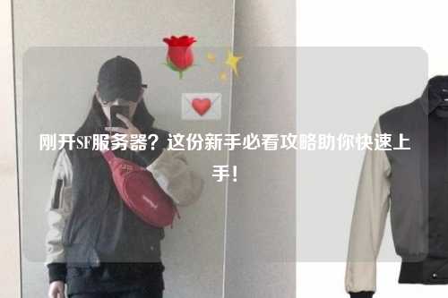 剛開SF服務(wù)器？這份新手必看攻略助你快速上手！