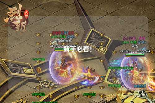 新手必看！