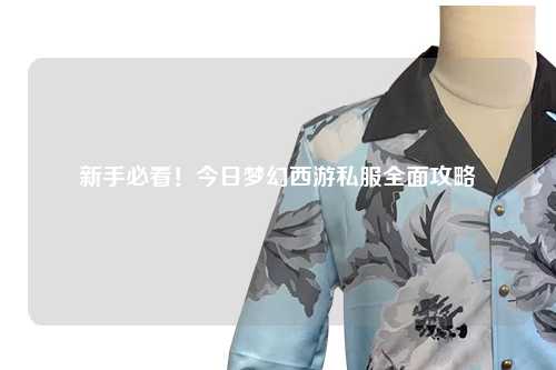 新手必看！今日夢幻西游私服全面攻略