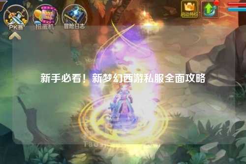 新手必看！新夢幻西游私服全面攻略
