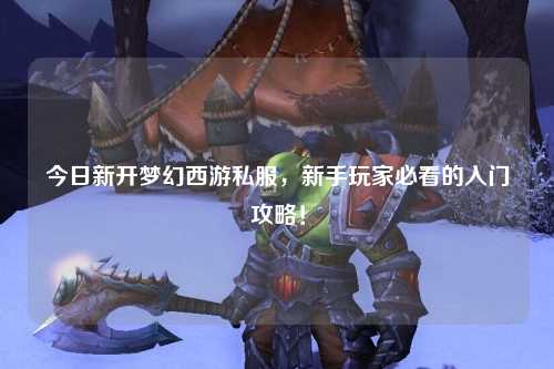 今日新開(kāi)夢(mèng)幻西游私服，新手玩家必看的入門攻略！